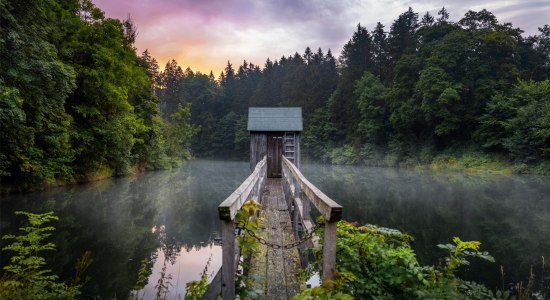 Carler-dam i Clausthal-Zellerfeld, © TMN/Alex Kaßner