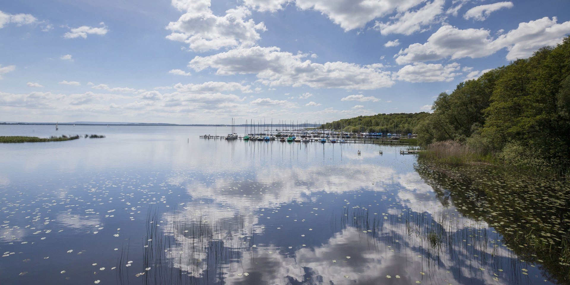 Udsigt over Steinhuder Meer, til højre sejlbåde ved fortøjningspladserne, © Naturpark Steinhuder Meer, Region Hannover/ Claus Kirsch