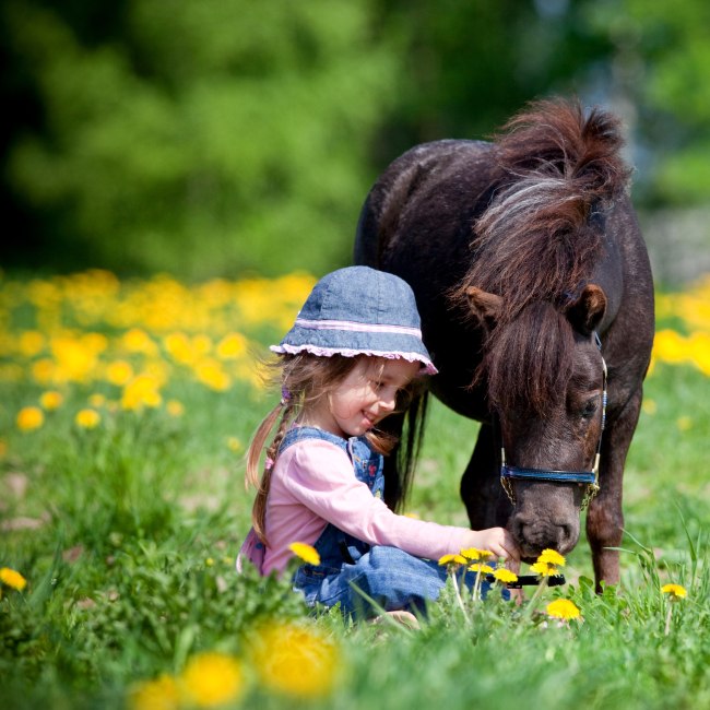 En pige sidder på græsset og fodrer en pony, © Fotolia/ Alexia Khruscheva