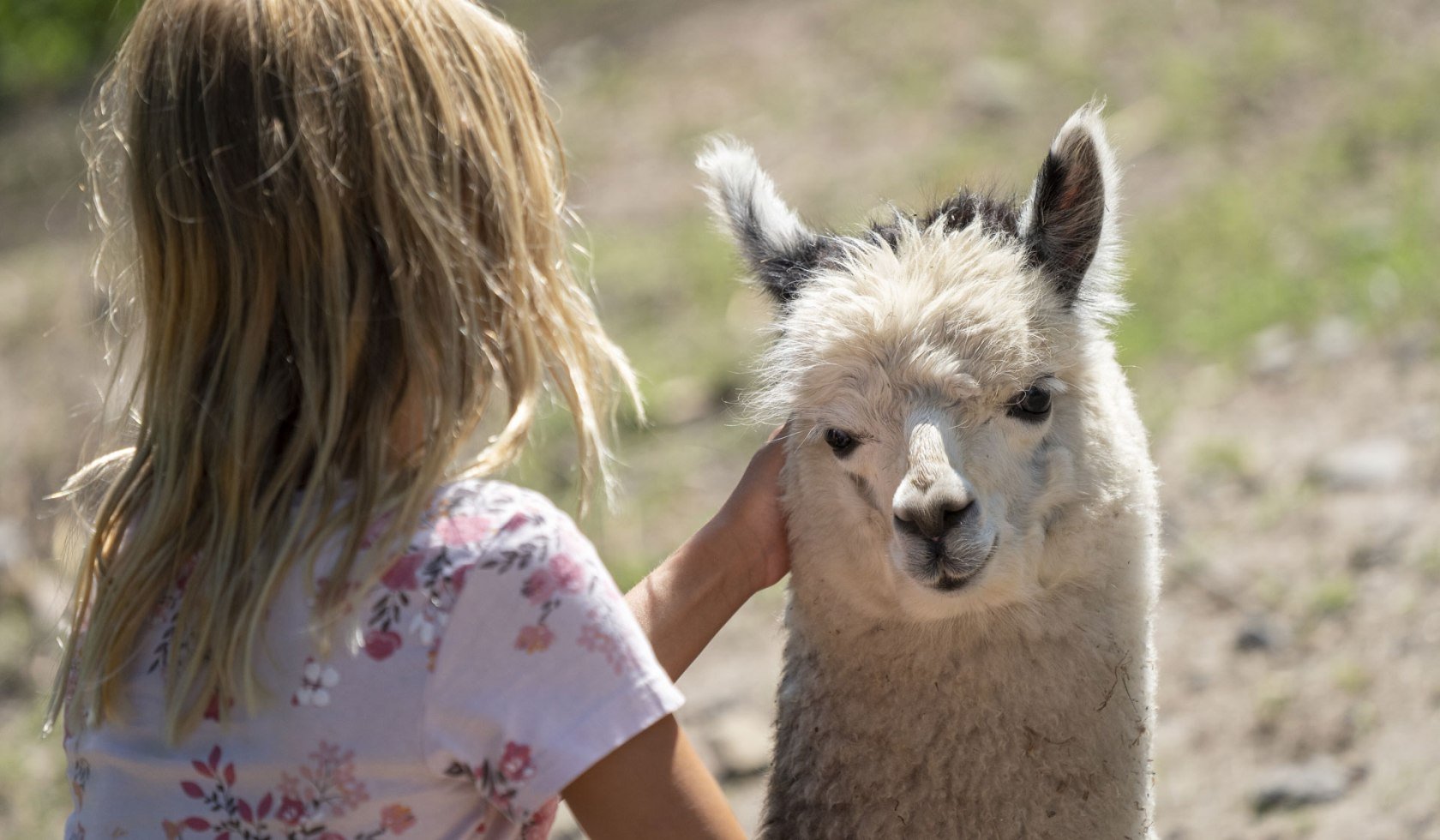 Børnezoo, © Serengeti-Park Hodenhagen GmbH