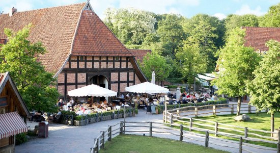 Meyer's domstol, © Zoo Hannover GmbH