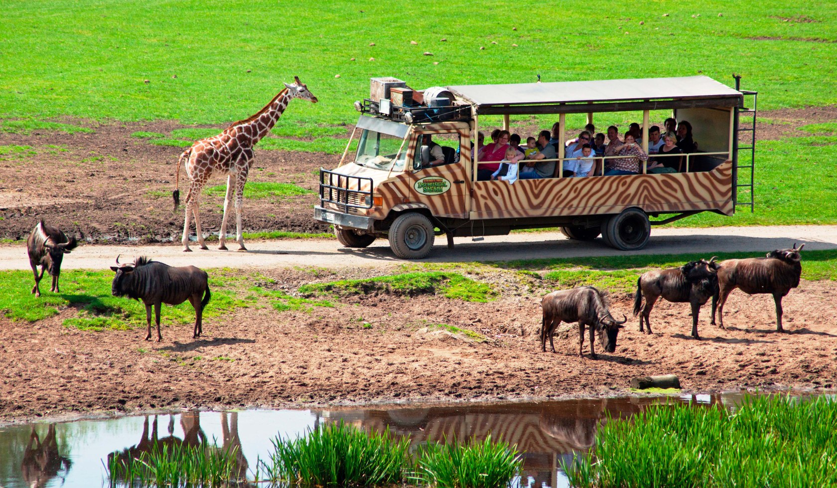 Jungle Safari Tour i Serengeti Park Hodenhagen, © Serengeti-Park Hodenhagen