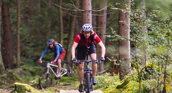 Mountainbikere på et enkelt spor, © Maruba b.V. Sports Publishers