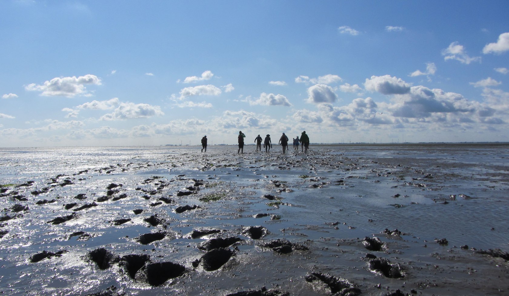 Vadehavet Langeoog, © Naturerlebnis Langeoog / Joke Pouliart