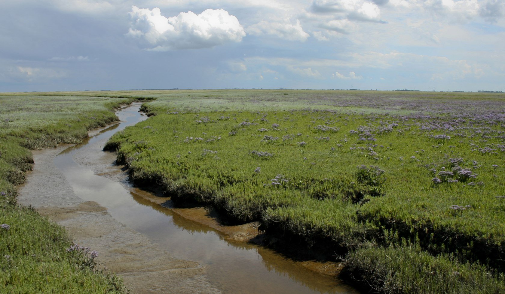 Smal kanal, © Nationalparkverwaltung Niedersächsiches Wattenmeer