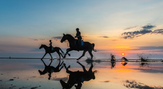Ridning i Cuxhaven, © Nordseeheilbad Cuxhaven GmbH