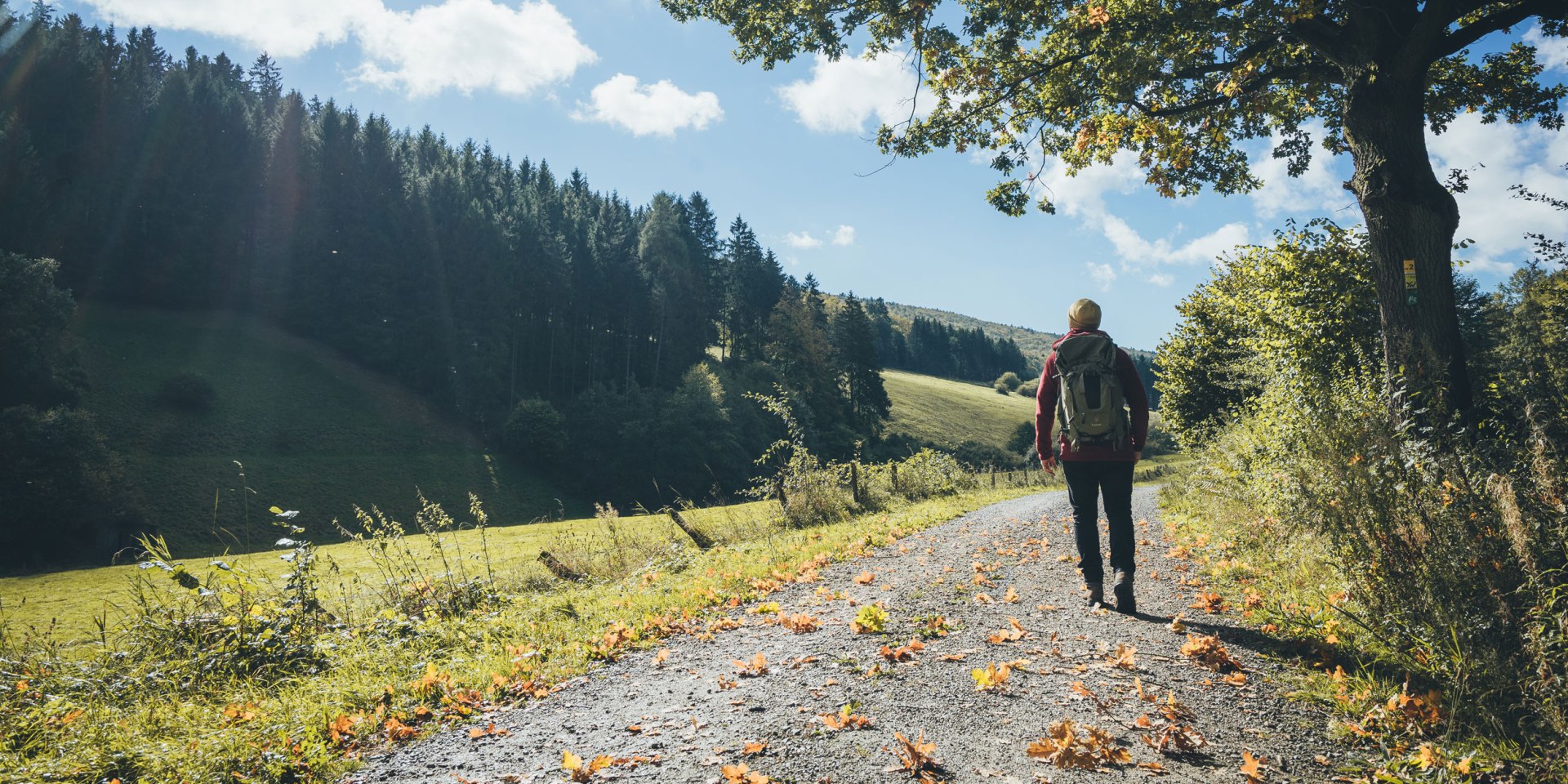 Vandring i Hellental i naturparken Solling-Vogler