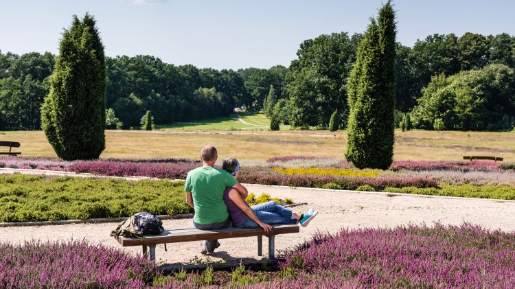 Heidegarten von Schneverdingen, © Erlebniswelt Lüneburger Heide / Markus Tiemann