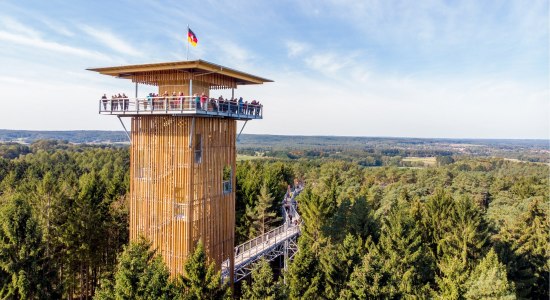 Udkigstårn på træ-top-promenaden, © Weitblick Tietz GmbH & Co. KG / Adrian Föhl