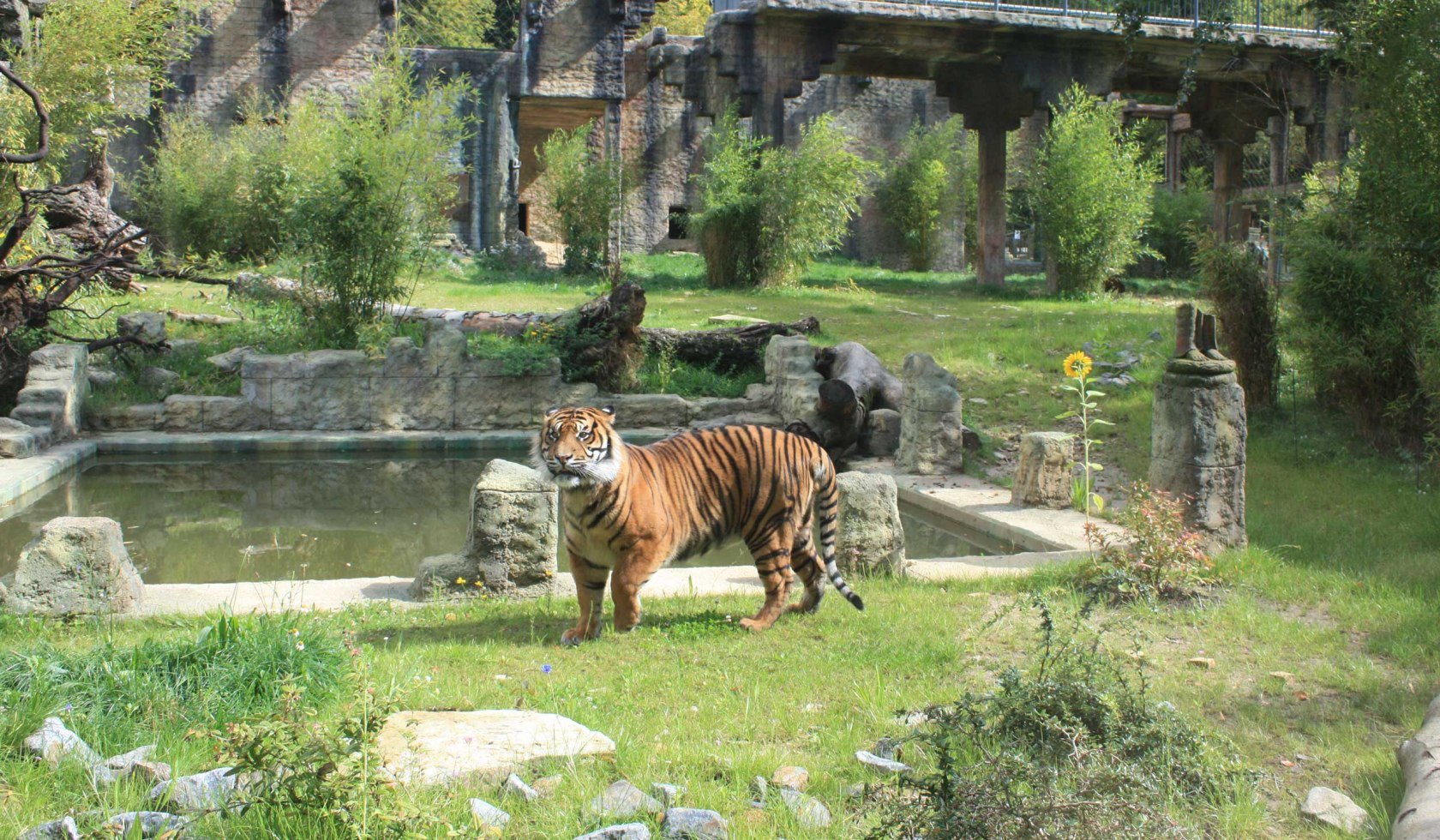 Zoologisk have i Osnabrück, © Zoo Osnabrück