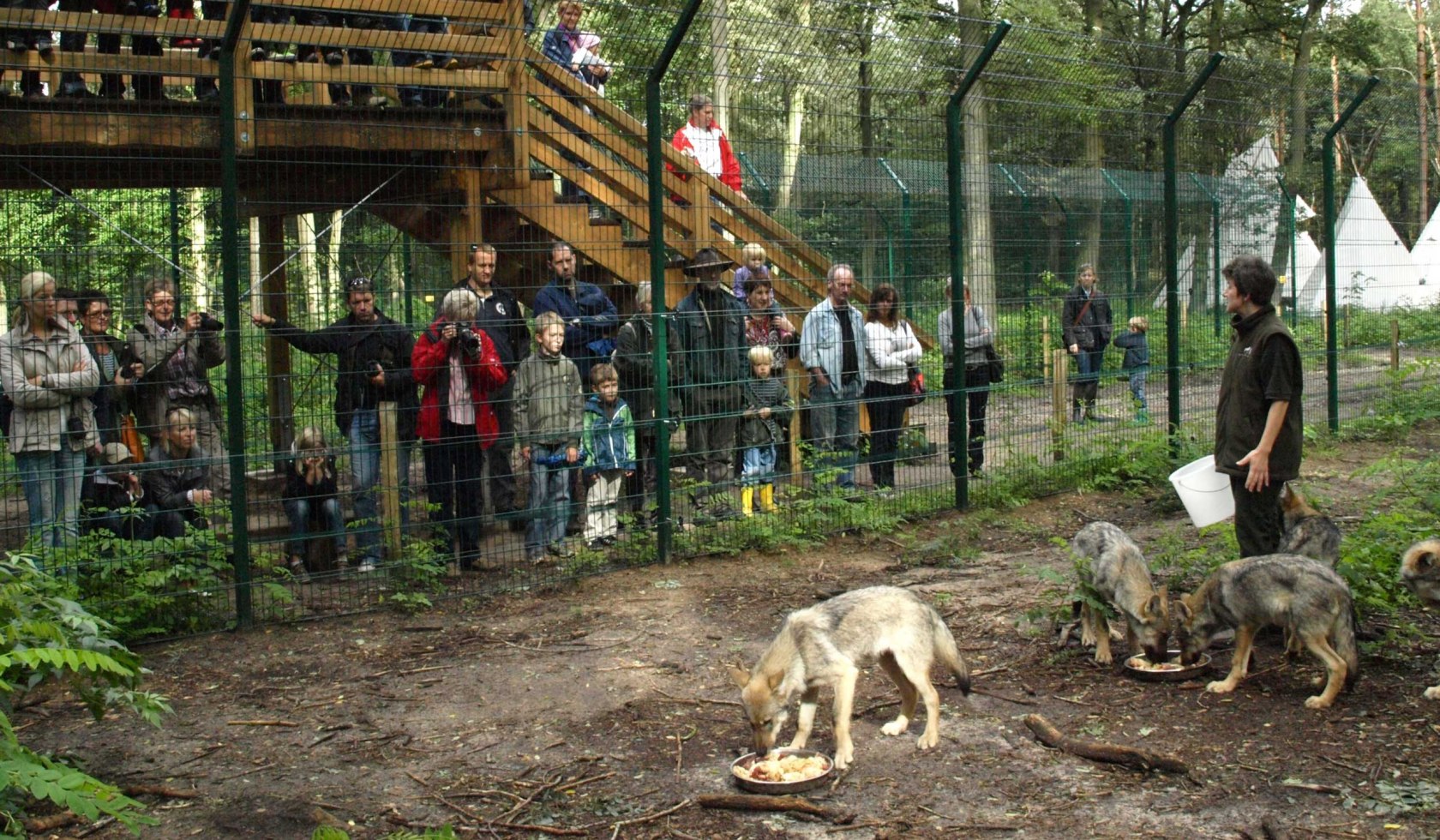 Indtryk fra Wolfcenter Dörverden, © Wolfcenter Dörverden