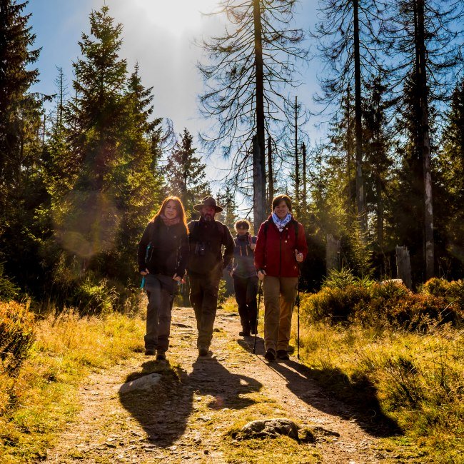 Ranger guidet tur, © Nationalpark Harz / dietrichkuehne.com