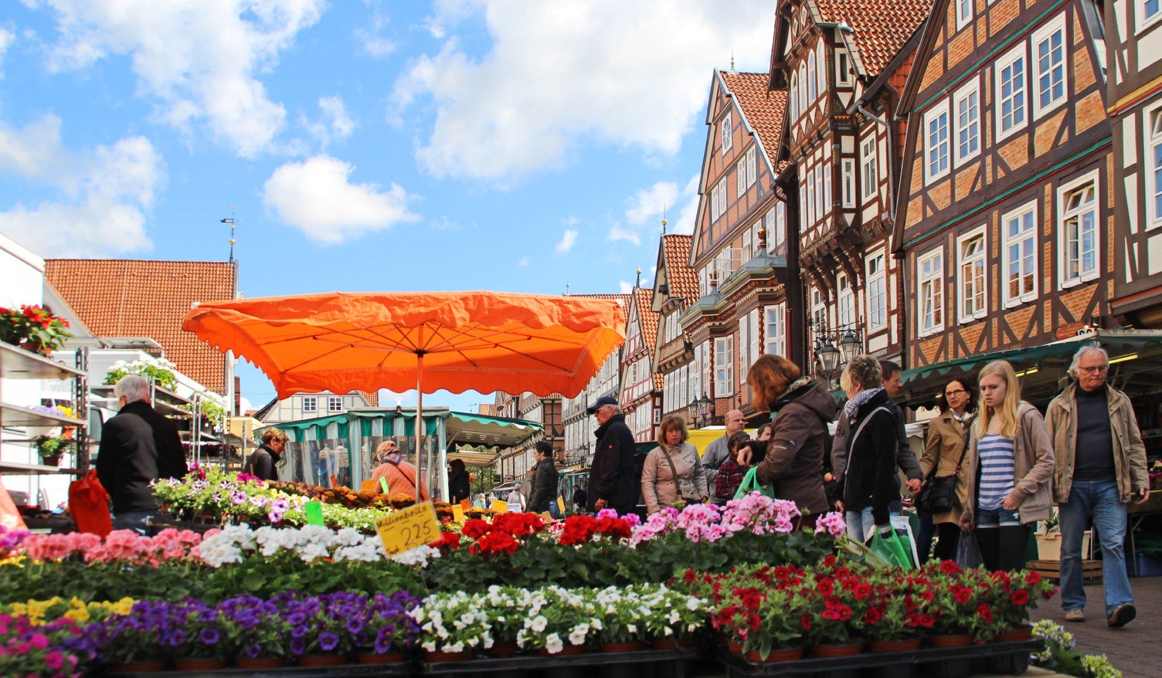 Celle ugentlige marked, © Celle Tourismus und Marketing GmbH / K. Behre