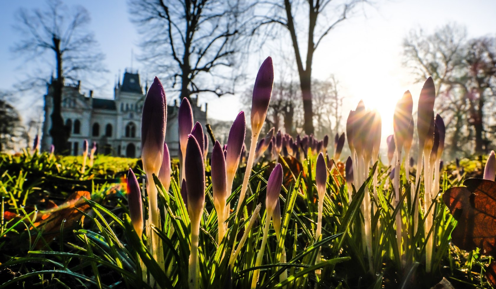 Evenburg i Leer, © Stadt Leer / L. Klemmer