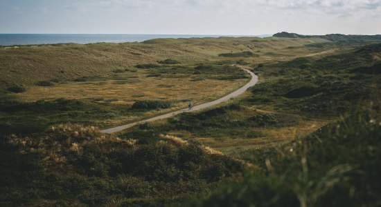 Cykelsti på Langeoog, © TMN / Max Fischer 