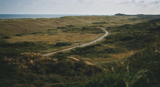 Cykelsti på Langeoog, © TMN / Max Fischer 