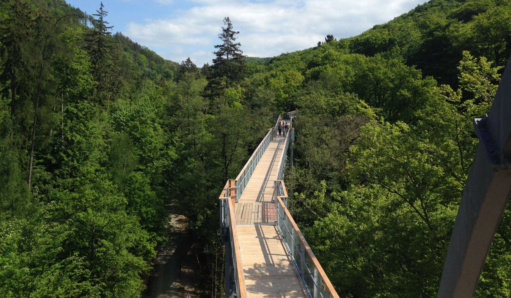 Baumwipfelpfad Harz, © Baumwipfelpfad Harz