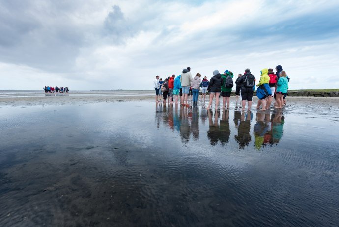 Gruppen vandrer i watt , © Kurverwaltung Wangerooge / Kees van Surksum