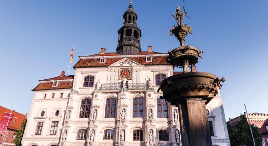 Det gamle rådhus, © Lüneburger Heide GmbH/Markus Tiemann