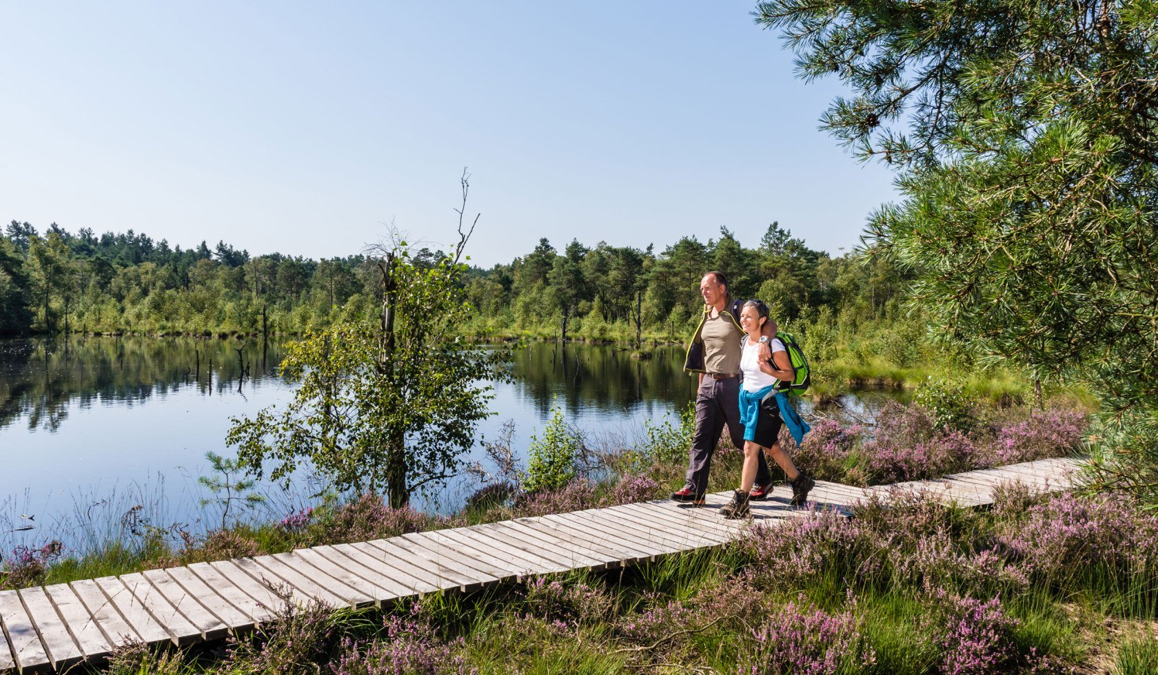 Vandrere i Pietzmoor, © Erlebniswelt Lüneburger Heide GmbH/ Markus Tiemann