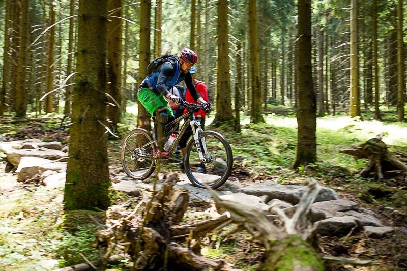 Mountainbiker ride over et vanskeligt spor i Hahnenklee Bike Park, © Board 'n Bikes Mountainbiker ride over et vanskeligt spor i Hahnenklee Bike Park, © Board 'n Bikes