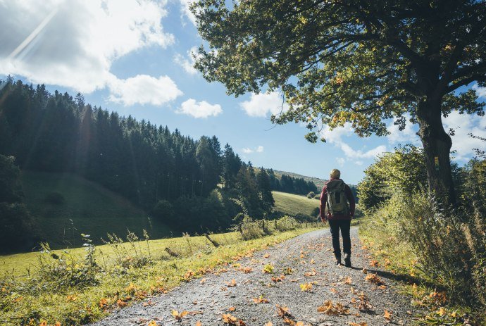 Vandring i Hellental i naturparken Solling-Vogler