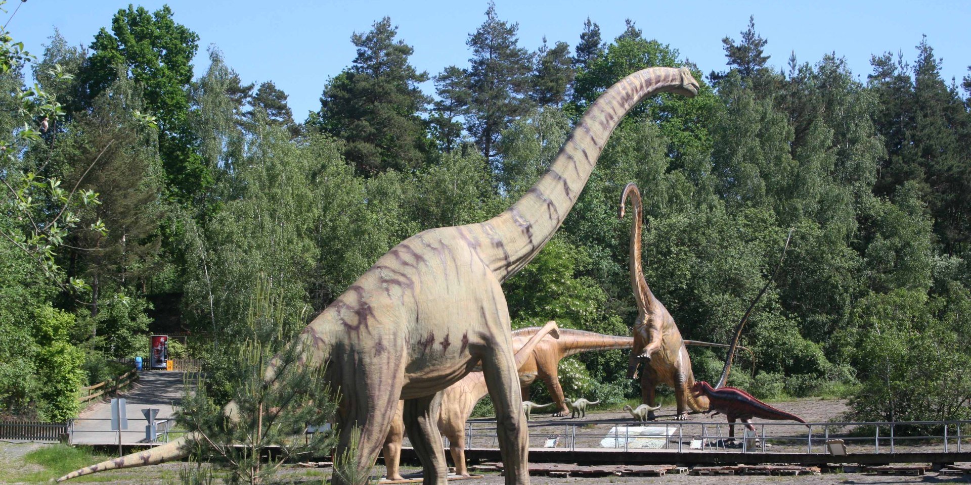 Indtryk Dinosaurier-Park Münchehagen, © Dinosaurier-Park Münchehagen GmbH & Co.KG