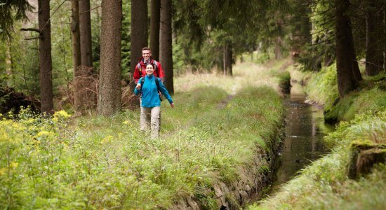 Vandforsyningssystemet ”Oberharzer Wasserwirtschaft”, © Harzer Tourismusverband / M. Gloger