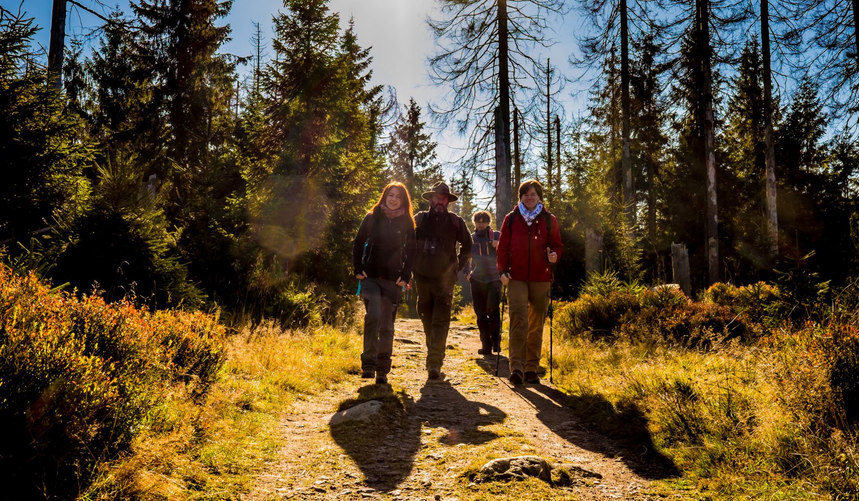 Ranger guidet tur, © Nationalpark Harz / dietrichkuehne.com