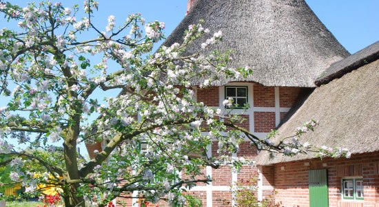 Thatched hus i Cuxland, © Cuxland-Tourismus / Bernd Schlüsselburg