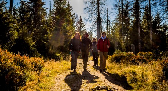 Ranger guidet tur, © Nationalpark Harz / dietrichkuehne.com