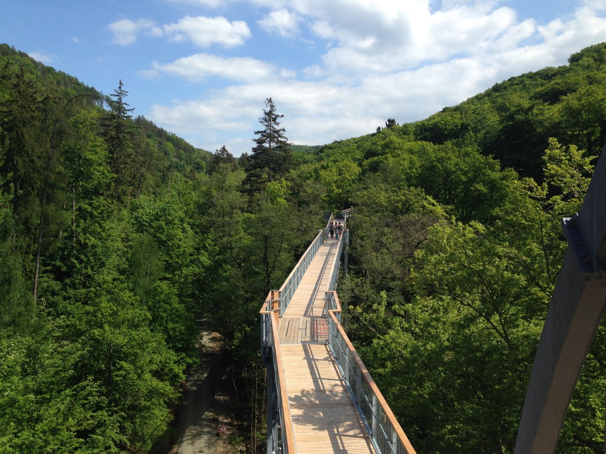 Baumwipfelpfad Harz, © Baumwipfelpfad Harz