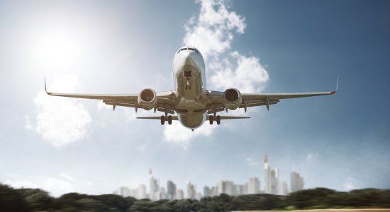 Fly, © Fotolia / m.mphoto